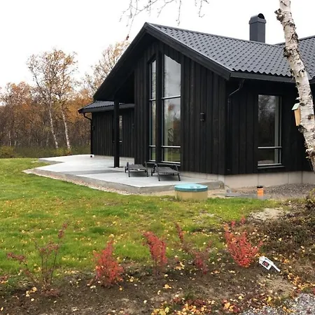 Forest * Norskholmen